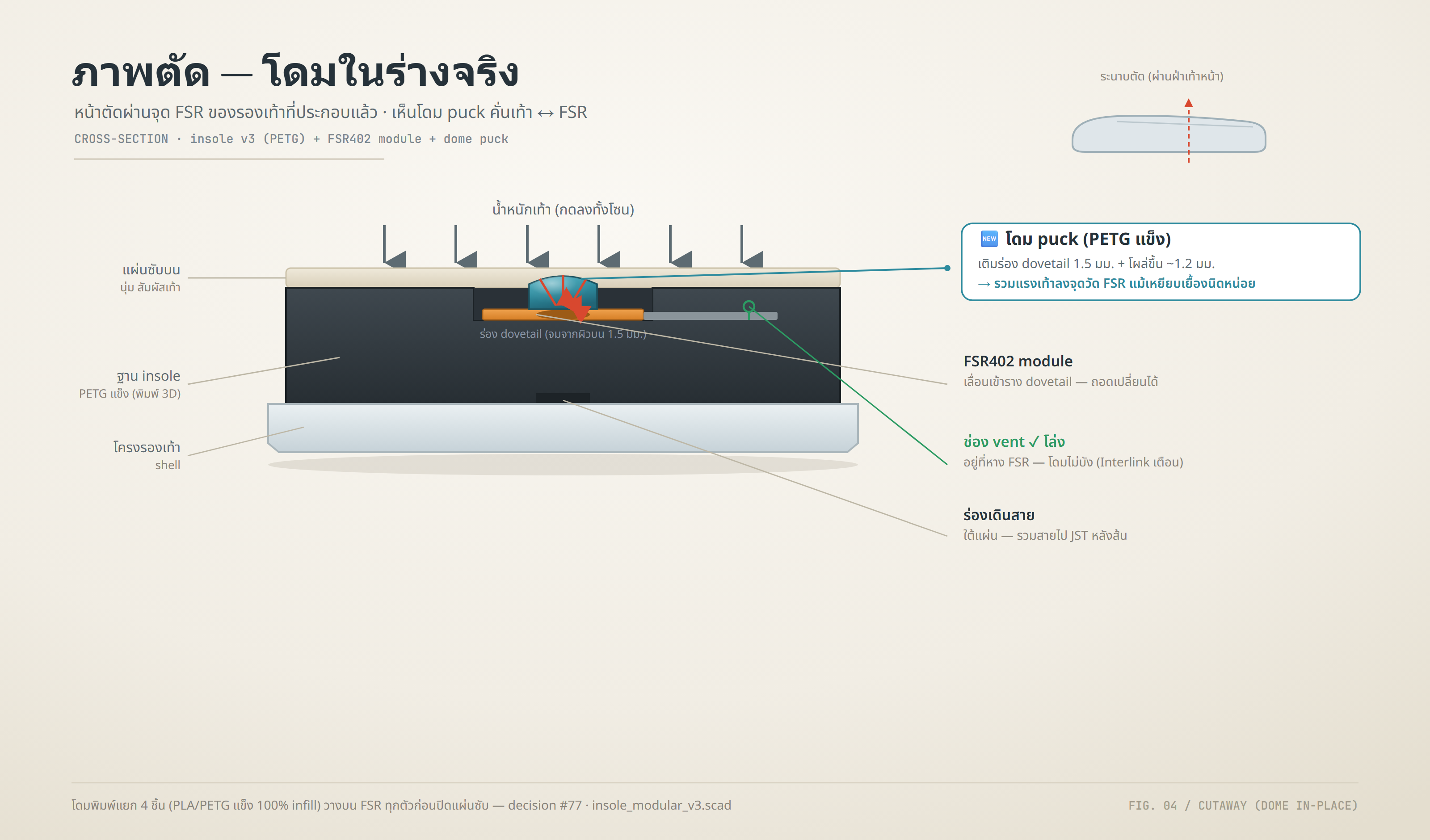 ภาพตัดผ่านจุด FSR แสดงโดม puck คั่นระหว่างเท้ากับเซนเซอร์ในร่างรองเท้าจริง